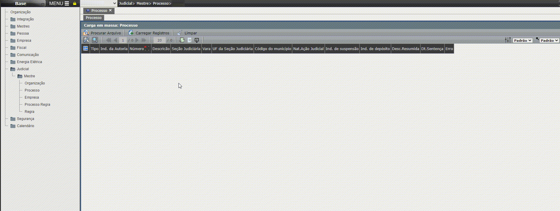 Cadastrar Processo Judicial em massa5
