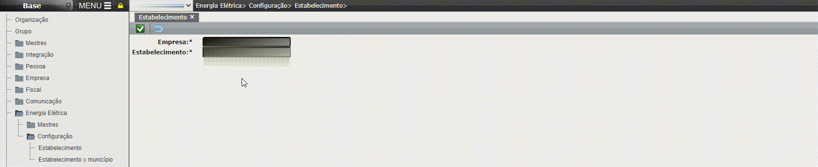 Energia Elétrica - Configuração Estabelecimento

