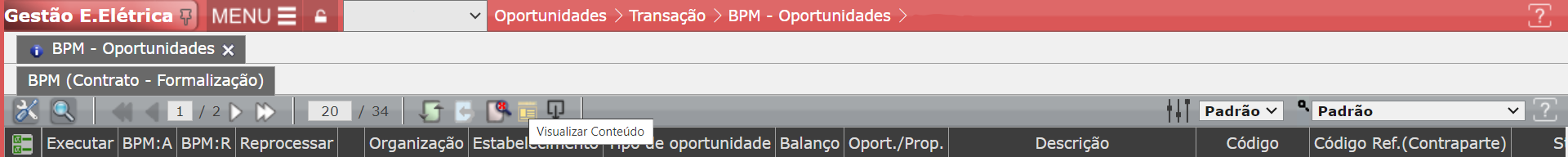 CRIAÇÃO DE RELATÓRIO NA FUNCIONALIDADE BPM- OPORTUNIDADES