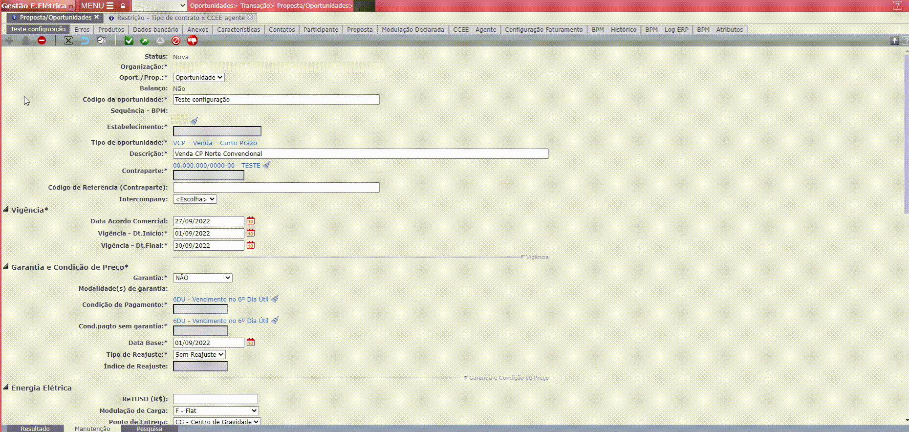 Erros Referentes às Restrições de Agente/Perfil CCEE
