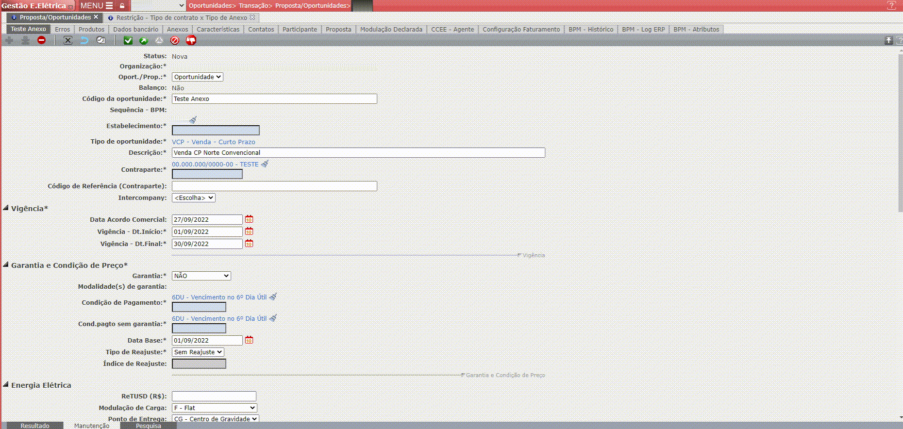 Erros Referentes às Restrições de Anexo
